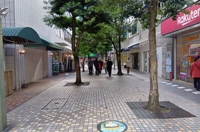 歩行者専用道路を通り、そのまま直進してください。