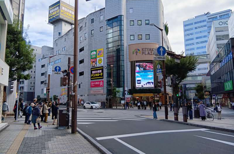 しばらく進み、けやきプラザが見えたら左折してください。