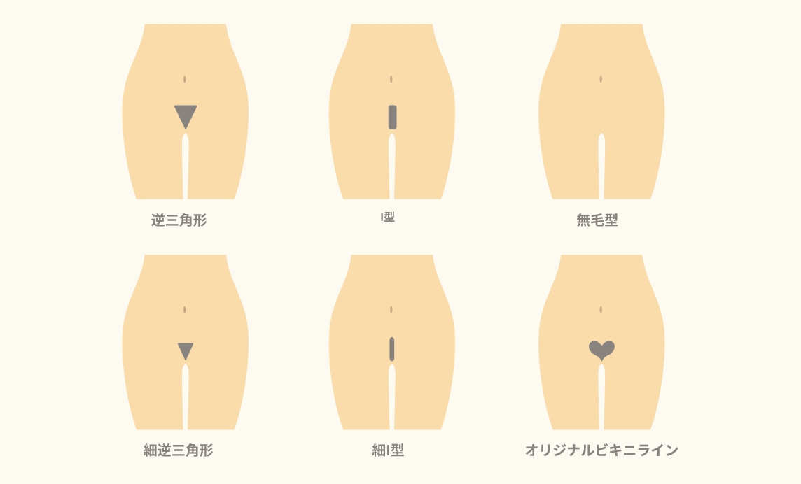 毛量の調整や、Vラインのデザインも自由自在。