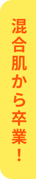 混合肌のための肌質改善説明書