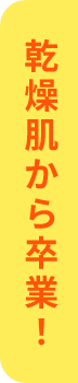 乾燥肌のための肌質改善説明書