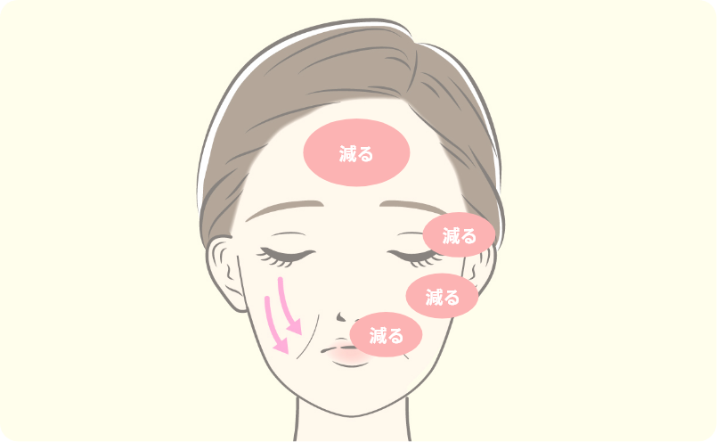 脂肪と筋肉の変化によるたるみイメージ