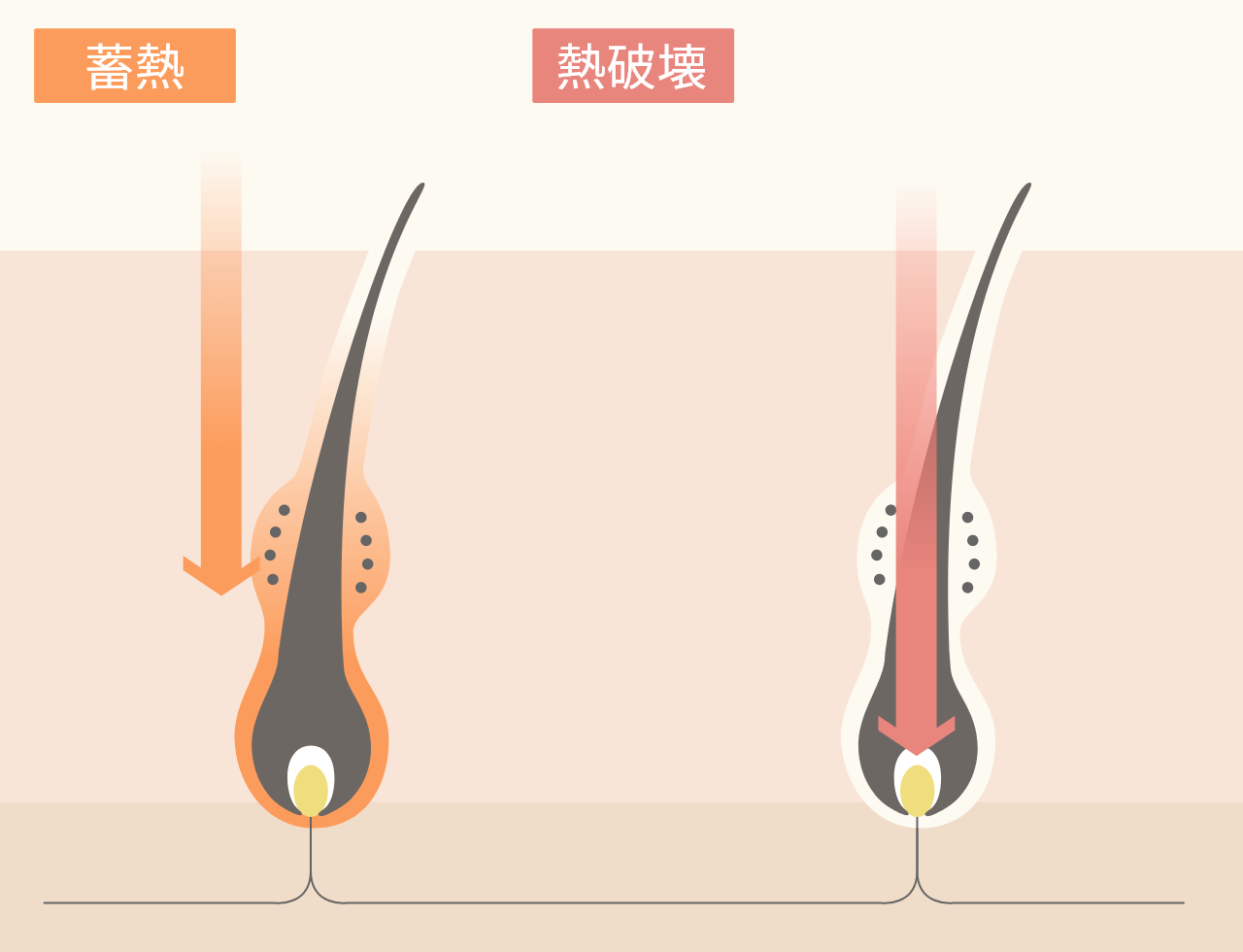 蓄熱＋熱破壊の使い分けで高い効果を実現。