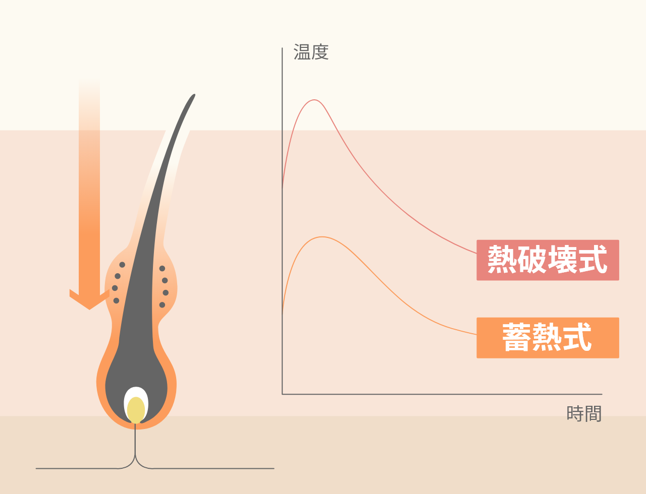 蓄熱式の脱⽑⽅式で痛みを最⼩限に施術可能。