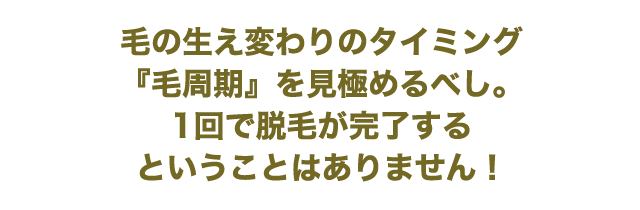 毛の生え変わりのタイミング『毛周期』を見極めるべし。1回で脱毛が完了するということはありません！