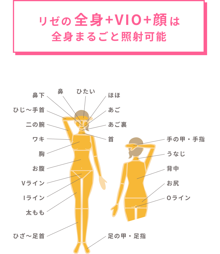 全身まるごと照射可能