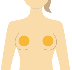 乳輪まわり イメージイラスト