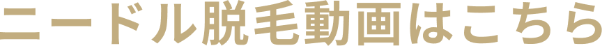 ニードル脱毛動画はこちら