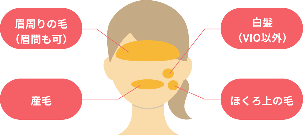 眉周りの毛、白髪、産毛、ほくろ上の毛