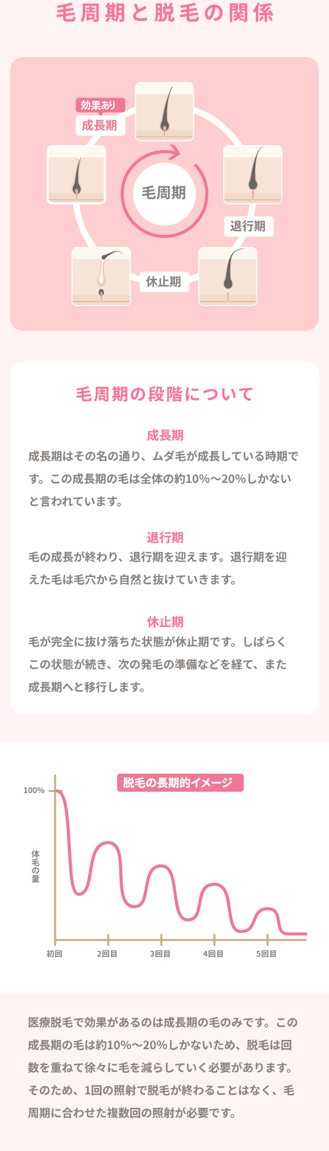 毛周期と脱毛の関係