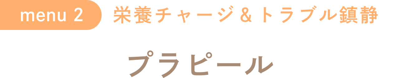 プラピール