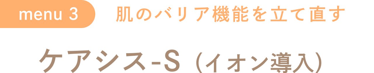 ケアシス-S
