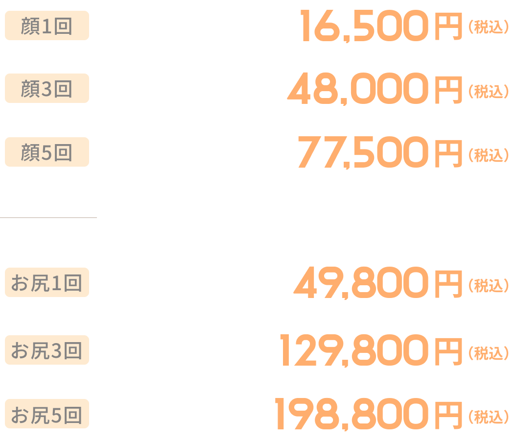 プラピール料金表