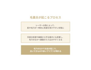 毛嚢炎プロセス